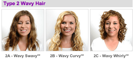 hair type 2