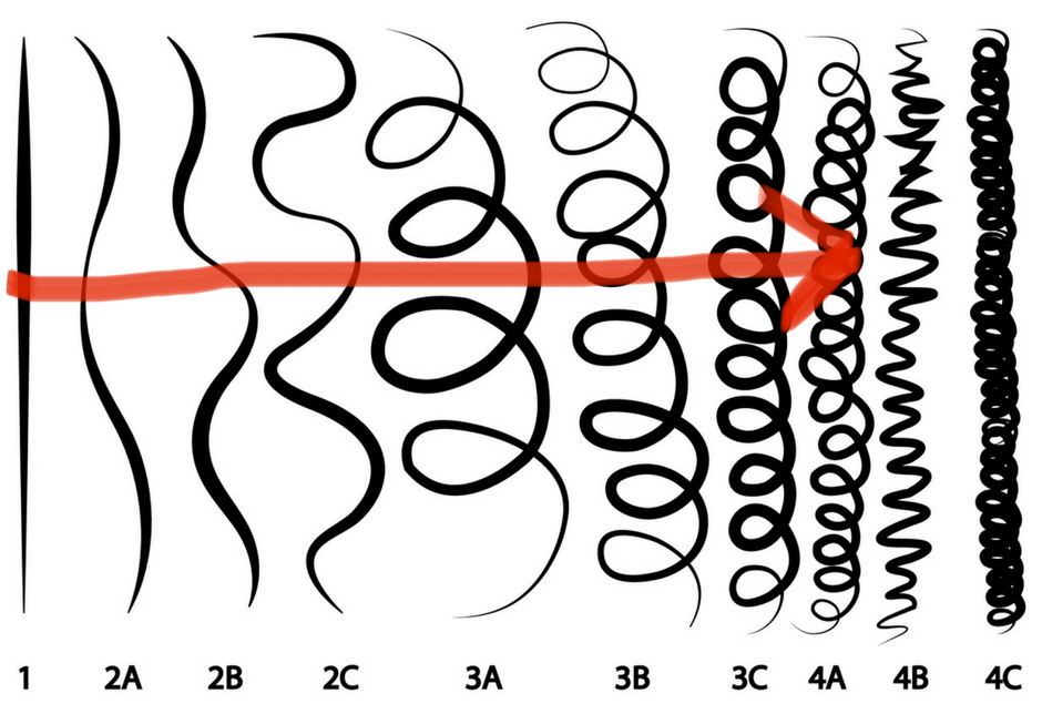 Hair Type Chart