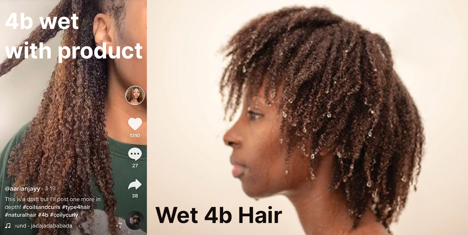wet 4b defined hair
